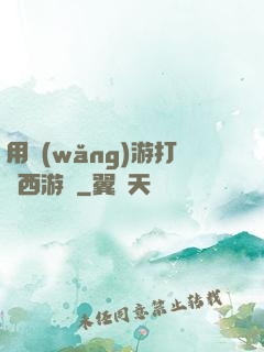 用網(wǎng)游打開西游記