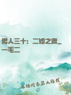 男人三十：二婚之妻