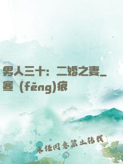 男人三十：二婚之妻