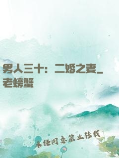 男人三十：二婚之妻