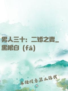 男人三十：二婚之妻