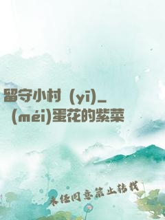 留守小村醫(yī)