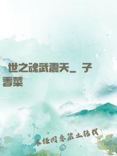 異世之魂武震天