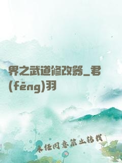 異界之武道修改器