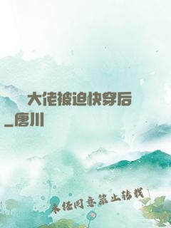 當滿級大佬被迫快穿后