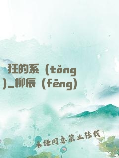 瘋狂的系統(tǒng)