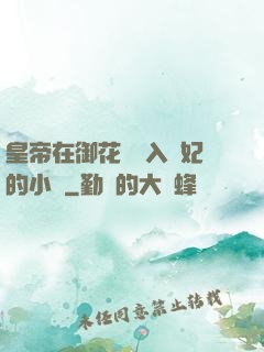 皇帝在御花園進入貴妃的小說