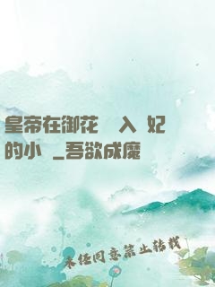 皇帝在御花園進入貴妃的小說
