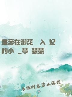 皇帝在御花園進入貴妃的小說