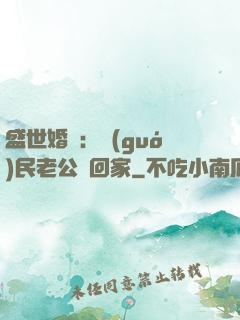 盛世婚寵：國(guó)民老公帶回家