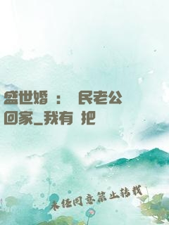 盛世婚寵：國民老公帶回家