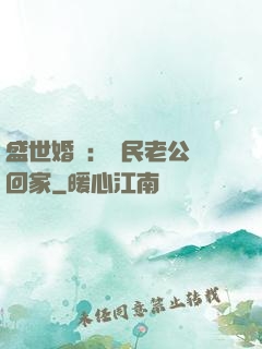 盛世婚寵：國民老公帶回家