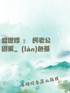 盛世婚寵：國民老公帶回家