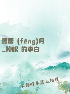 盛唐風(fēng)月