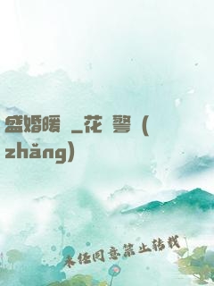 盛婚暖愛