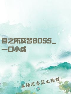 目之所及皆BOSS
