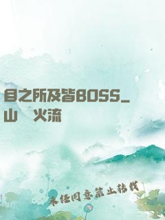 目之所及皆BOSS