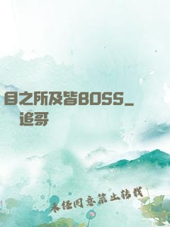 目之所及皆BOSS