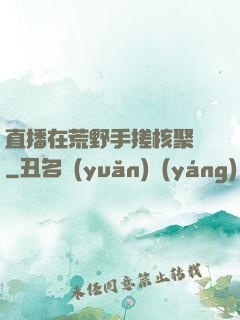 直播在荒野手搓核聚變