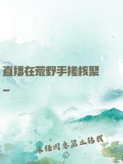 直播在荒野手搓核聚變