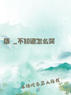 盾擊