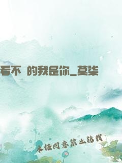 看不見的我是你