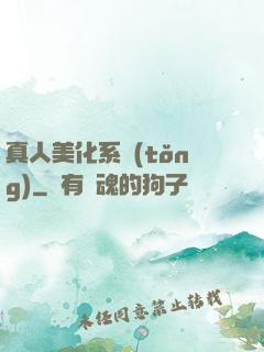 真人美化系統(tǒng)