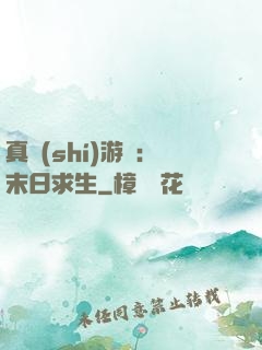 真實(shí)游戲：末日求生