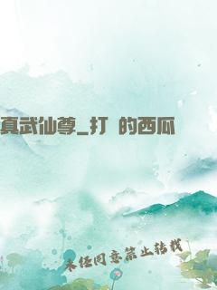 真武仙尊