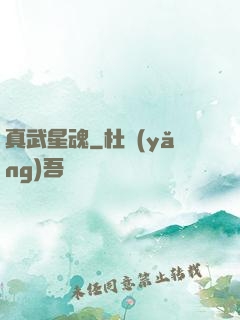 真武星魂