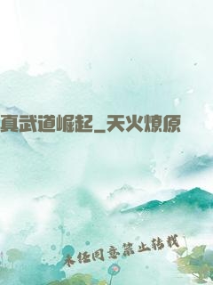真武道崛起