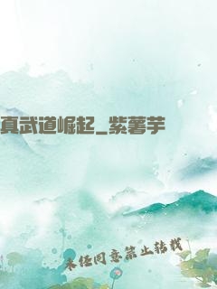 真武道崛起
