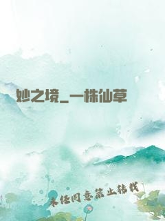 眾妙之境
