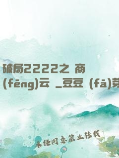 破局2222之電商風(fēng)云錄