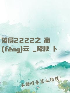 破局2222之電商風(fēng)云錄