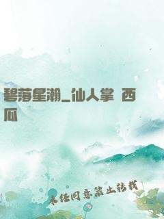 碧落星瀚