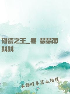 碰瓷之王