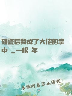 碰瓷后我成了大佬的掌中嬌