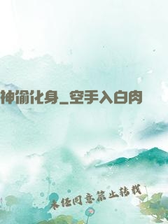 神偷化身