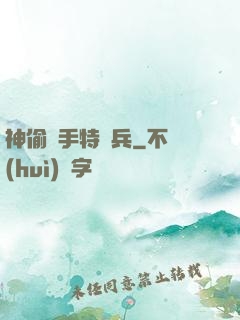 神偷殺手特種兵