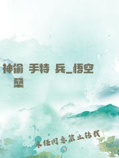 神偷殺手特種兵
