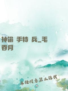神偷殺手特種兵