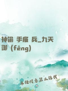 神偷殺手雇傭兵