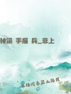 神偷殺手雇傭兵