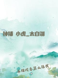 神捕聶小虎