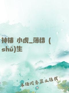 神捕聶小虎
