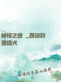 神探之唐銘