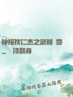神探狄仁杰之武朝傳奇