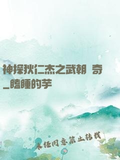 神探狄仁杰之武朝傳奇