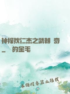 神探狄仁杰之武朝傳奇
